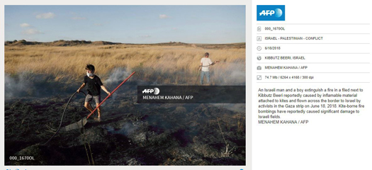 afp activistsfield.jpg