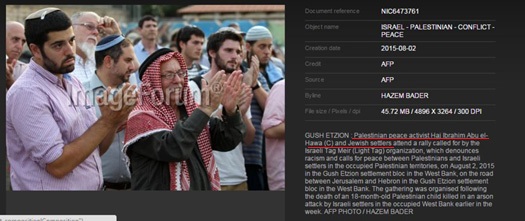 afp settlers palestinian peace activists 4a.jpg