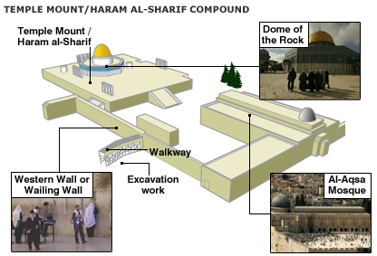 temple mount digging.gif