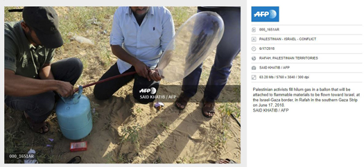 afp fireactivists.jpg