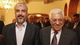 abbas.meshaal.jpg
