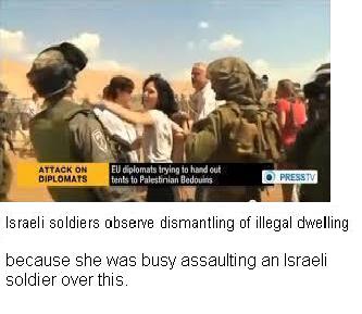 french diplomat 5.JPG