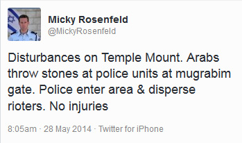 Micky Rosenfeld Temple Mount.jpg