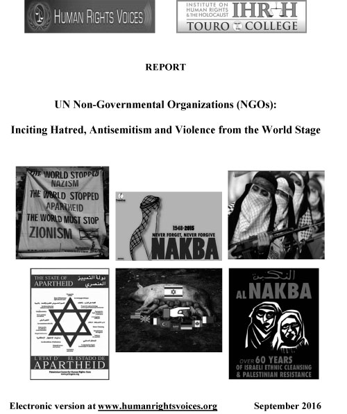 Report-on-UN-NGOs.jpg